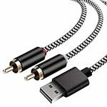 USB to 2-Male RCA Audio Aux Cable f