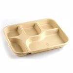 SMS HYDROTECH Disposable Plates | 5 Compartment Plate Without Spoon, (Pack Of 25) | Eco-Friendly Plates For Dinner, Biodegradable Plates, Use And Throw Plates, Brown