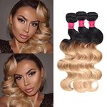 Wome Hair Brazilian Human Hair Wefts 3 Bundles Ombre Honey Blonde 1B#27 Body Wave Hair Bundles Dark Root Blonde Hair Weaves (12" 14" 16") : 12 14 16, Ombre Blonde(1b/27#)
