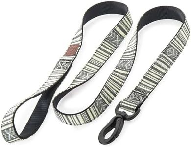 Embark Urban Dog Leashes - Colorful, Strong and Sturdy Nylon Dog Leashes for Small Dogs, Dog Leashes Medium Dogs and Dog Leashes Large Breed Dogs, Heavy Duty Dog Leash (Lunar, 4 Ft Dog Leash)