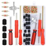 Doryum 64 Pcs Tire Valve Core Tool Set for Car Bike Motorbike, 40 Pcs Valve Cores, 20 Pcs Tire Valve Caps, 1 Pc 4-Way Valve Tool, 1 Pc Dual Head Valve Core Remover, 1 Pc Long/Short Single Head Valve Core Remover