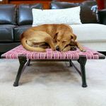 Mesh Dog Bed