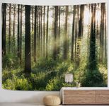 PROCIDA Forest Tree Tapestry Nature Landscape Tapestry Sunshine Through Tree Tapestries Wall Hanging Green Fresh Woodland Scenery for Bedroom Ceiling Aesthetic Decoration, 80 W x 60 H inch, Sunlight Forest