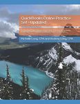 QuickBooks Online Practice Set - Updated: Get QuickBooks Online Experience Using Realistic Transactions for Accounting, Bookkeeping, CPAs, ProAdvisors, Small Business Owners or other users