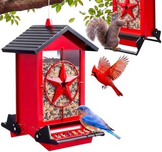 Squirrel P