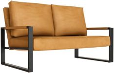 DKLGG Mid-Century Loveseats Sofa Couch, Solid Leathaire Loveseat Sofa, Upholstered Faux Leathaire Couch 2-Seat Metal Armchair, Lounge Accent Chair for Living Room, Small Space, Studio, Apartment