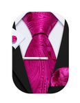 Barry.Wang Mens Tie Paisley Plaid Striped Floral Silky Necktie Pocket Square Cufflinks Clip Set Wedding Party Formal Business