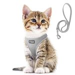 Fida Cat Harness and Leash Set for Walking Kitten and Puppy, Escape Proof Kitten Harness with Breathable Lightweight Soft Mesh, Adjustable Reflective Step-in Design for Kitten and Puppy.(XXXS, Grey)