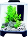 Aqua One Pico Betta Tank