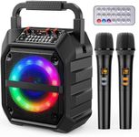 PKBD Karaoke Machine with Two Wireless Microphones,Portable Bluetooth Speaker with LED Lights, PA System, Supports TF Card/USB for Adults & Kids, for Girls Boys Families Home Party (Dark Black)