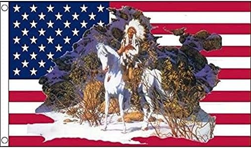 Drapeau USA Chef Indien 150x90cm - Drapeau américain - Etats-Unis 90 x 150 cm - Drapeaux - AZ FLAG