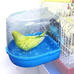 Plastic Bi