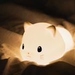 NIRVITTHAL Silicone LED Night Light Touch Sensor Switching Night Lamp, Transform Between Warm White 2700K and White 6500K, Timer Setting for Kids Babies Bedside and Nursery (Cat)