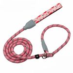 DDSColour Slip Lead Dog Leash - Anti Pull Training Leash for Large Dogs, Small Dogs, and Medium Dogs - 6ft/4ft Lengths, Heavy Duty & Slip Leash with Stoppers, Collar for Training and Easy Control