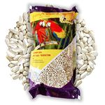 Parrots Wizard Safflower Seeds, Kardi, Kusum beej for Wild Parrots and Birds 900 Gram