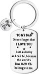 Fathers Day Birthday Gifts for Father Dad from Daughter Son to My Dad Keychain Never Forget I Love You Gift Keyring for Best Dad Daddy Christmas Presents for Father Key Chains