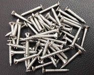 Tia Screws for House Repair, DIY and Project Working and Furniture (100Pcs, Chrome Polished Size:M6x25mm)