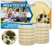 Mold Test Kit for Home -DIY Mold Te