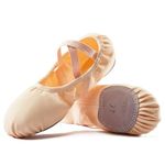 Dance Women's Ballet Shoes Stretch Canvas Performa Dance Slippers Split Sole for Girls/Adult, Nude, 9