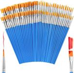 AROIC Small Paint Brushes Bulk,160 