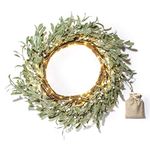 LampLust Lighted Christmas Wreath for Front Door - 21 Inch Wreath with 75 LED Lights, Battery Operated, Indoor/Outdoor, Winter Holiday Decorations, Frosted Mistletoe with Pearls, Timer Included