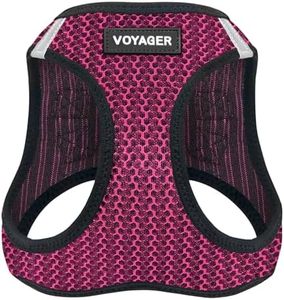 Voyager St
