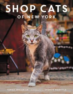Shop Cats 