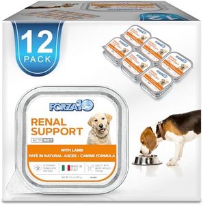 Forza10 - 