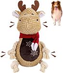 Dog Squeaky Toys,Dog Chew Toys Durable Cute Interactive Plush Dog Toys with Crinkle Paper Christmas Dog Toys for Puppy Small Medium Large Dogs