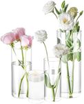 4 Pack Glass Cylinder Vases 4,6,8,10 Inch Tall Clear Flower Vase Hurricane Floating Candle Holder for Table Centerpiece Wedding Home Decor