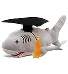 DolliBu Gray Shark Graduation Plush