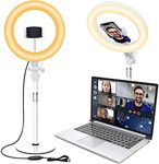 Selfie Ring Light with Stand for Laptop, 10.5'' Desk Ringlight Video Conference Lighting with Phone Holder, Webcam Ring Light for Makeup/Video Recording/Zoom Meeting/Live Streaming/YouTube/Tiktok