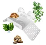 Lux Accessories Friends Turtles