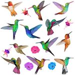 Articlings 12 Hummingbird Window Clings Non Adhesive Vinyl Stickers Beautiful Glass Safety Sticker The Decals can Deter Birds from Window Collision Strike