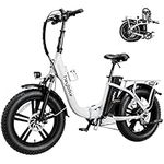 Heybike Ranger Electric Bike for Adults 500W Foldable Ebike with 48V 15Ah Removable Battery, Hey Bike 20" x 4.0 Fat Tire Electric Bicycle Step-Thru Folding Ebikes for Adults with Dual Shock Absorber