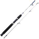 Lightweight Fishing Rods