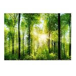 Aquarium Poster, 3D Effect Adhesive Forest Poster Background Sticker Thicken PVC Adhesive Backdrop Fish Tank Decorative Paper for Aquarium Fish Tank Decoration(61 * 41cm)