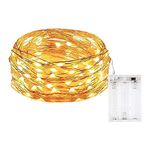 BOLWEO Warm White Battery Operated Fairy String Light,30 LEDs 10ft/3M Silver Copper Wire Short Lights, for Outdoor Indoor Christmas Tree Windows Home Room Vases Garden Decoration