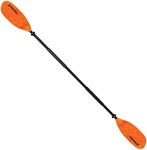 SeaSense X