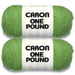 Caron One Pound Grass Green Yarn - 2 Pack of 454g/16oz - Acrylic - 4 Medium (Worsted) - 812 Yards - Knitting/Crochet