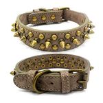 TELEYI Mushrooms Spiked Rivet Studded Adjustable Pu Leather Pet Collars for Cats Puppy Dogs