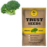 TrustBasket Brocoli Vegetable Seeds (Gmo Free)