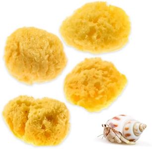 Evergreen Pet Supplies 4-Pack of Natural Hermit Crab Sea Sponges - All Natural Sponge for Crabs - Assists Safer Drinking, Provides Nutrients, Balances Tank Humidity