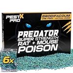 Pest X Pro Predator Rat Poisoning Super Strength - 6 Pack - Powerful Single Feed Rat Killer & Mouse Poison - Brodifacoum in Easy To Use Sachets - Indoor & Outdoor Rodent Control