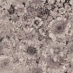 COKCOKR Black/White Peel and Stick Wallpaper Sketched Sunflower/Daisy Contact Paper Self-Adhesive Removable Wallpaper Decorative Art Floral Wallpaper Suitable for Bedroom Living Room 17.71" X 236.2"