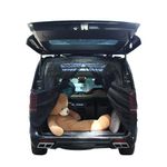 RV Screen Door for Back Door Bug Mesh Van Mosquito Net Polyester Magnetic Mosquito Net for Camper Car Rear Door Mosquito Net Suitable for Compatible with a Wide Range of Vehicles (Small :150 * 140cm)