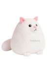 Teddora Percian Cat Soft Toy for Girls Boys Kids,White,Cat Animal Plush Stuffed Baby Teddy Gift Birthday, 30 cm