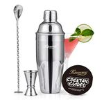 25oz Cocktail Shaker Set - Drink Shaker with Bartender Strainer - Professional Drink Mixer Set for Beginners - Silver - KITESSENSU