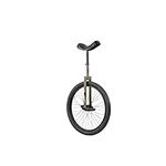 SUN BICYCLES Unicycle 24 Inch Flat 