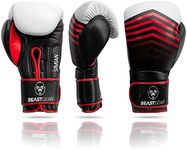 Beast Gear Boxing Gloves – Simian M